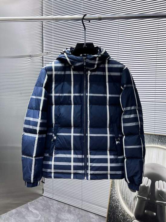 Picture of Burberry Down Jackets _SKUBurberryM-3XL25wr4638004